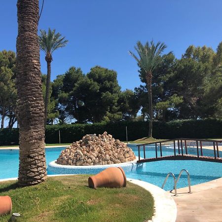 Cullera - Florazar II Con Piscina, Tenis Y Club Social Ngoại thất bức ảnh